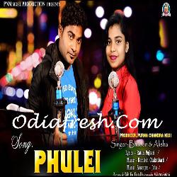 Phulei - Sambalpuri Song